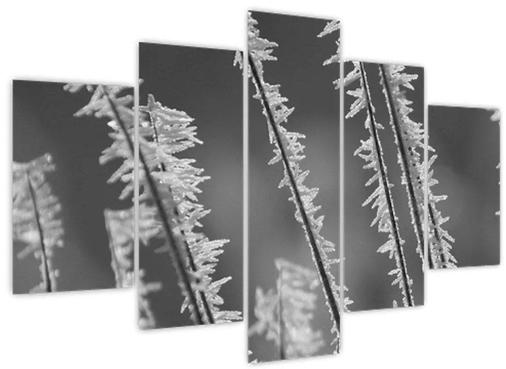 Obraz - Mrazivá zima (150x105 cm)