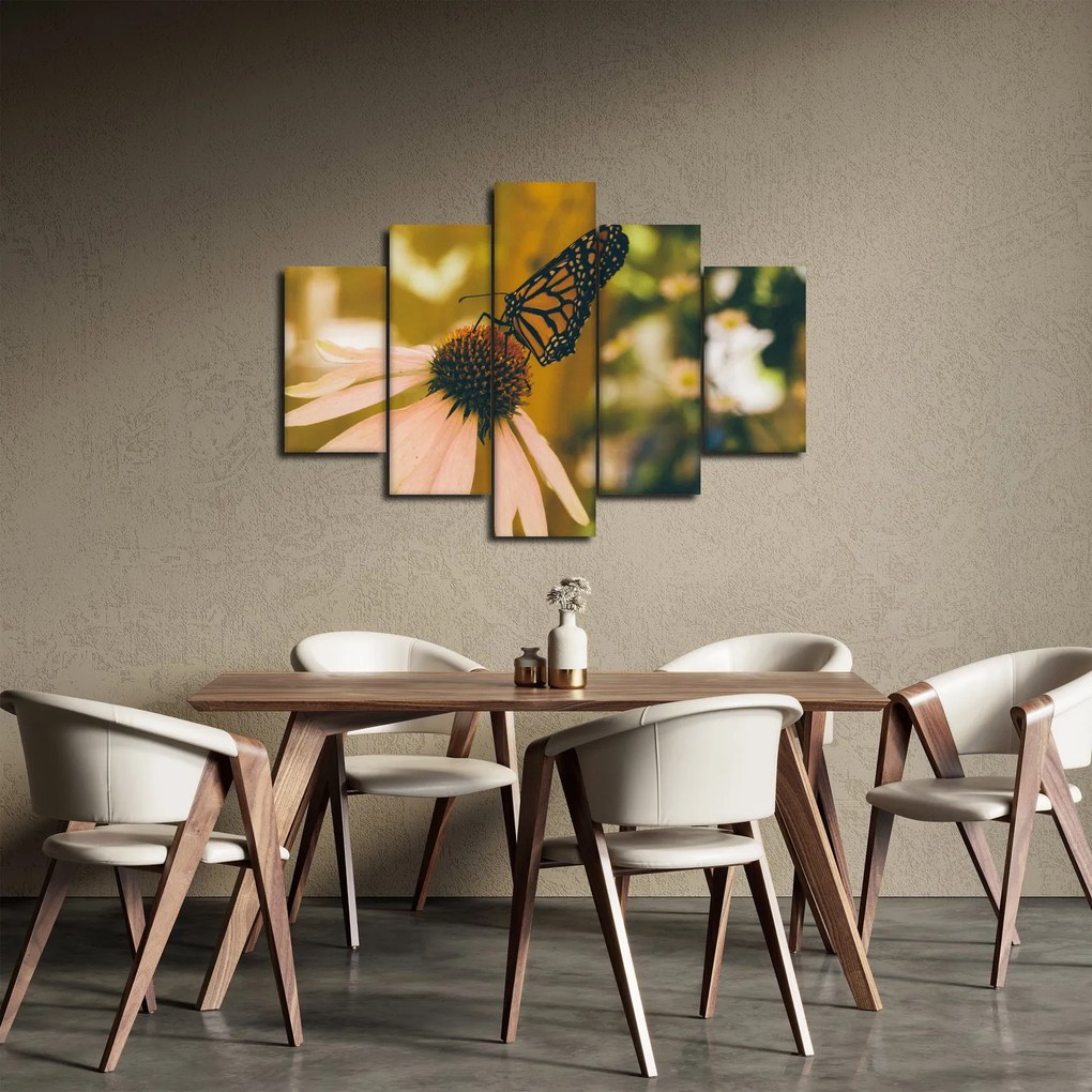 Obraz motýľa na kvetine (150x105 cm)