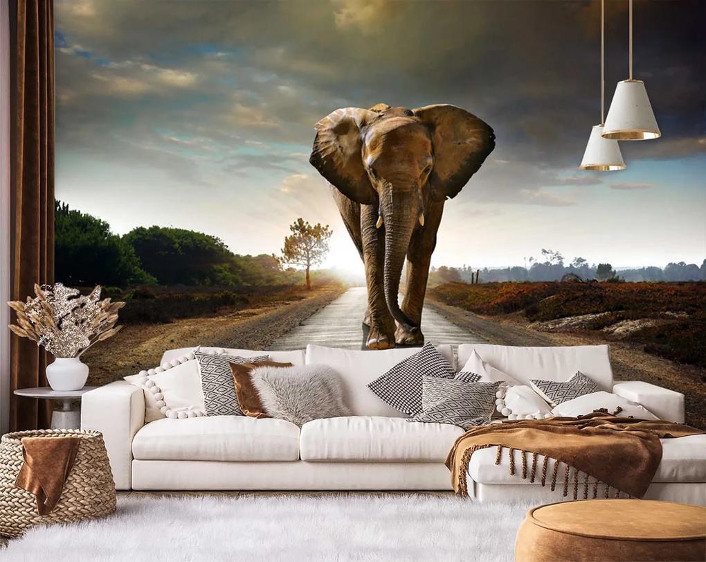 Gario Fototapeta Potulný slon Materiál: Vliesová, Rozmery: 200 x 140 cm