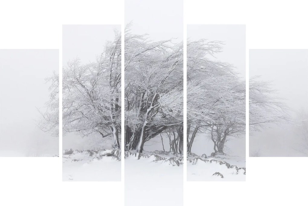 Obraz - Biela zima (150x105 cm)