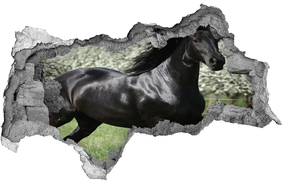 Diera 3D fototapeta na stenu Čierny kôň kvety nd-b-51258832