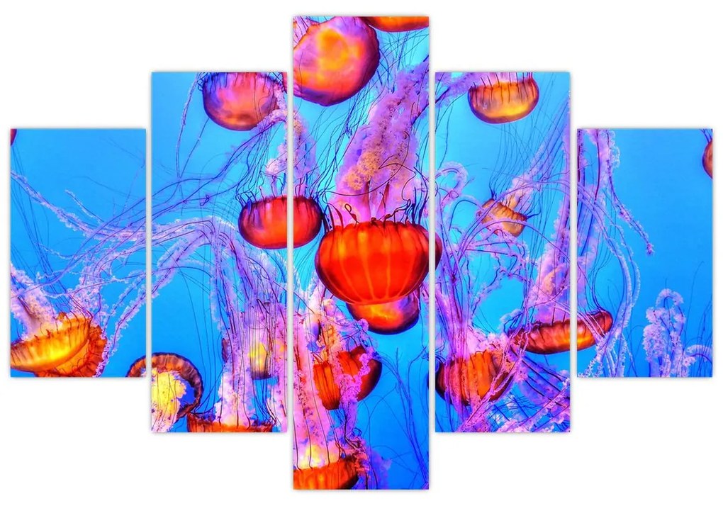 Obraz medúz v mori (150x105 cm)