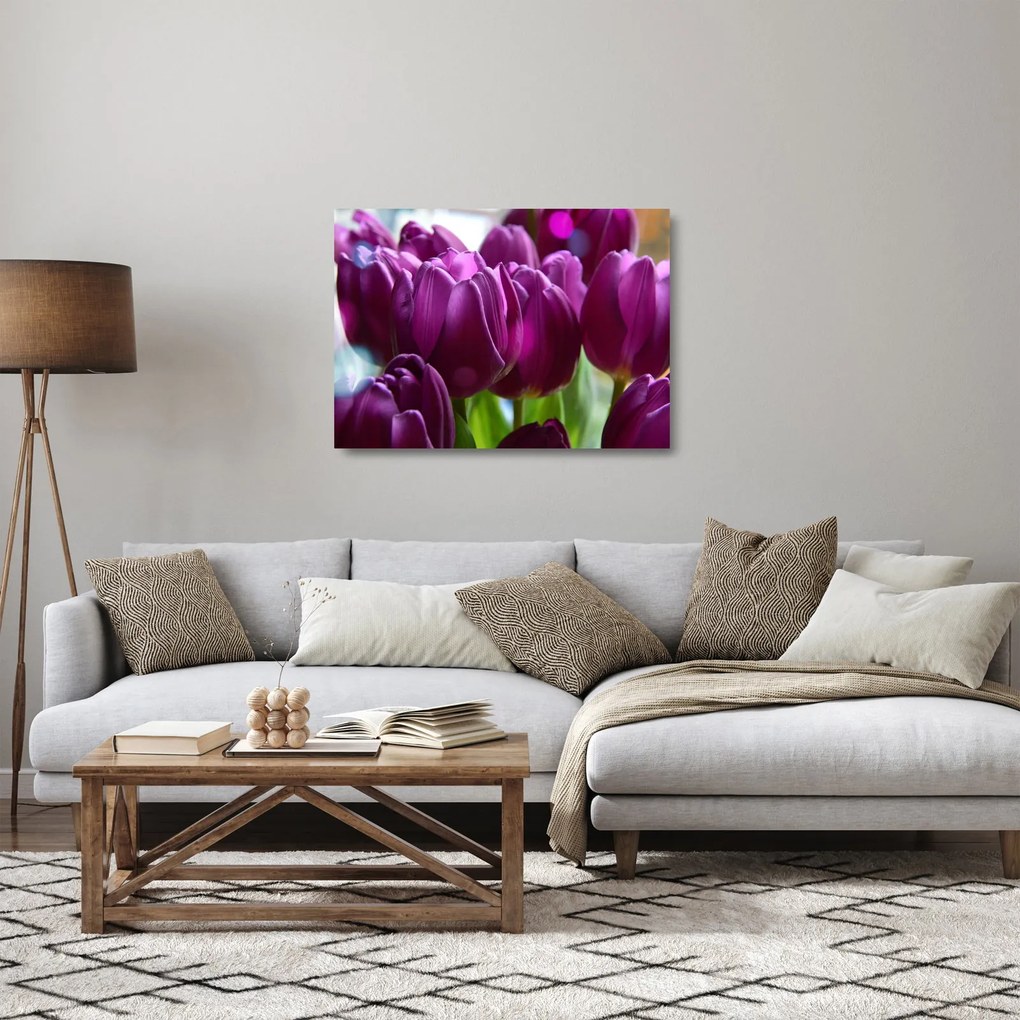 Sklenený obraz tulipánov (70x50 cm)