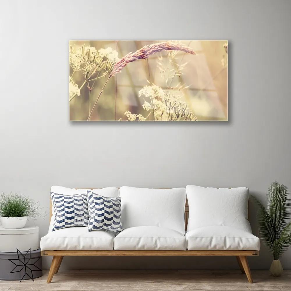 Skleneny obraz Divoké rastliny príroda 120x60 cm