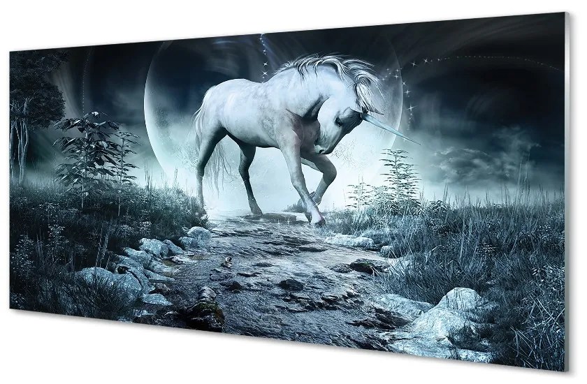 Sklenený obraz Forest Unicorn moon 120x60 cm