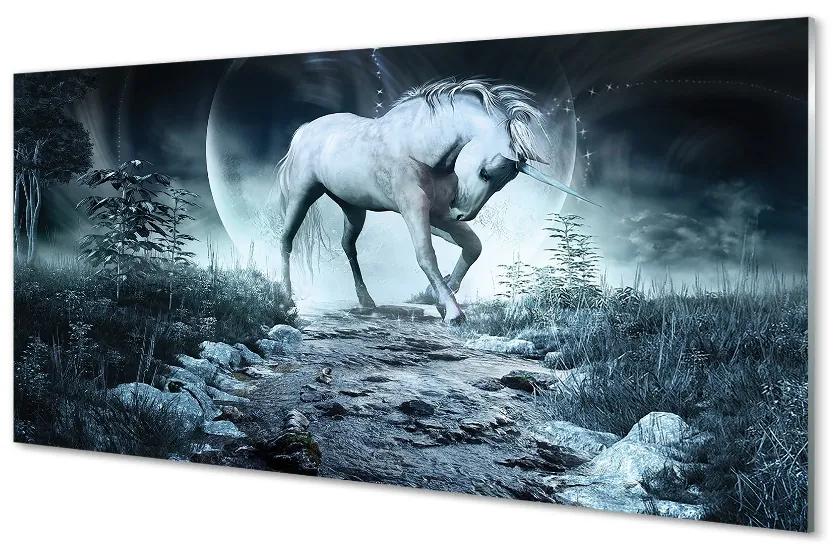 Sklenený obraz Forest Unicorn moon 140x70 cm