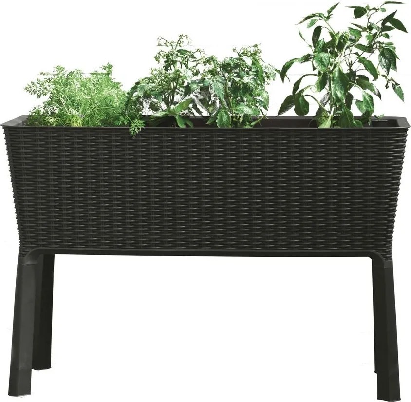 Keter Vyvýšený záhon Easy Grow, plast, 114 × 49,3 × 75,5 cm