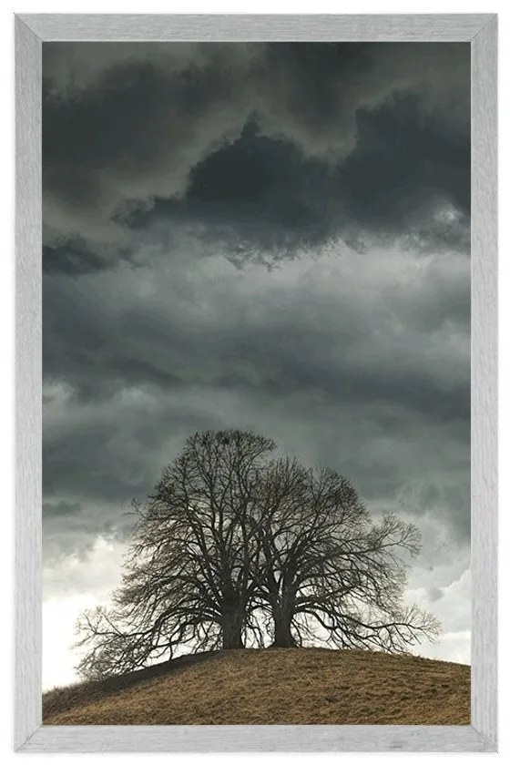 Plagát osamelé stromy - 40x60 silver