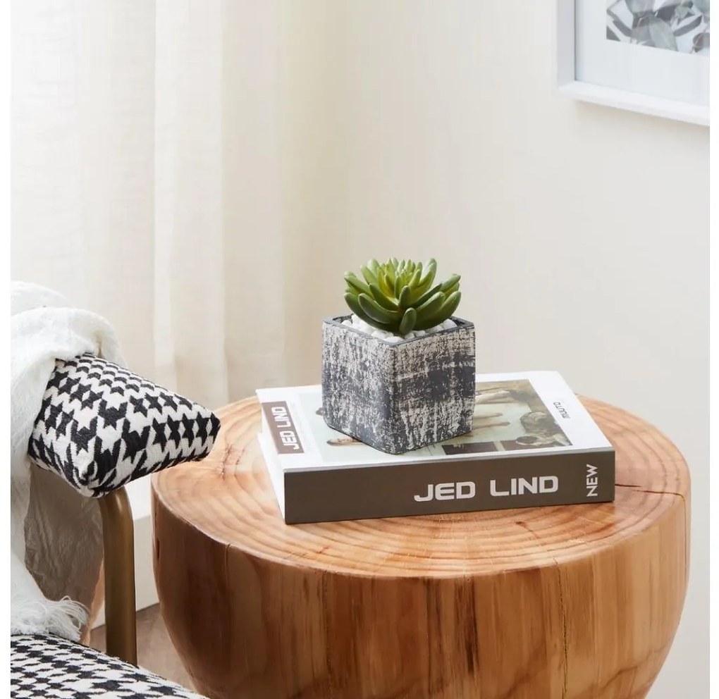 Eglo 428007 - Umelá rastlina v kvetináči CHITOSE 12x7,5 cm sukulent 428007