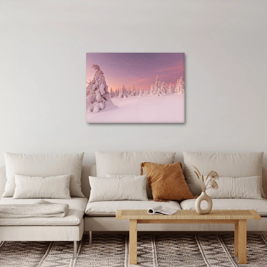 Obraz - Stromy pod snehovou prikrývkou (70x50 cm)