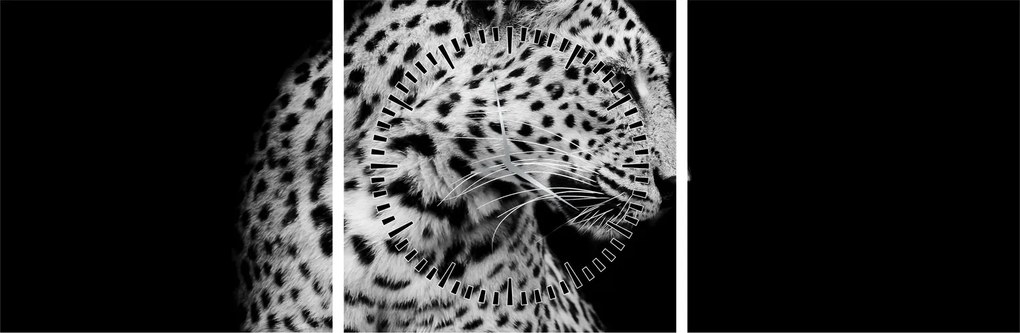 Obraz - Leopard (s hodinami) (90x30 cm)