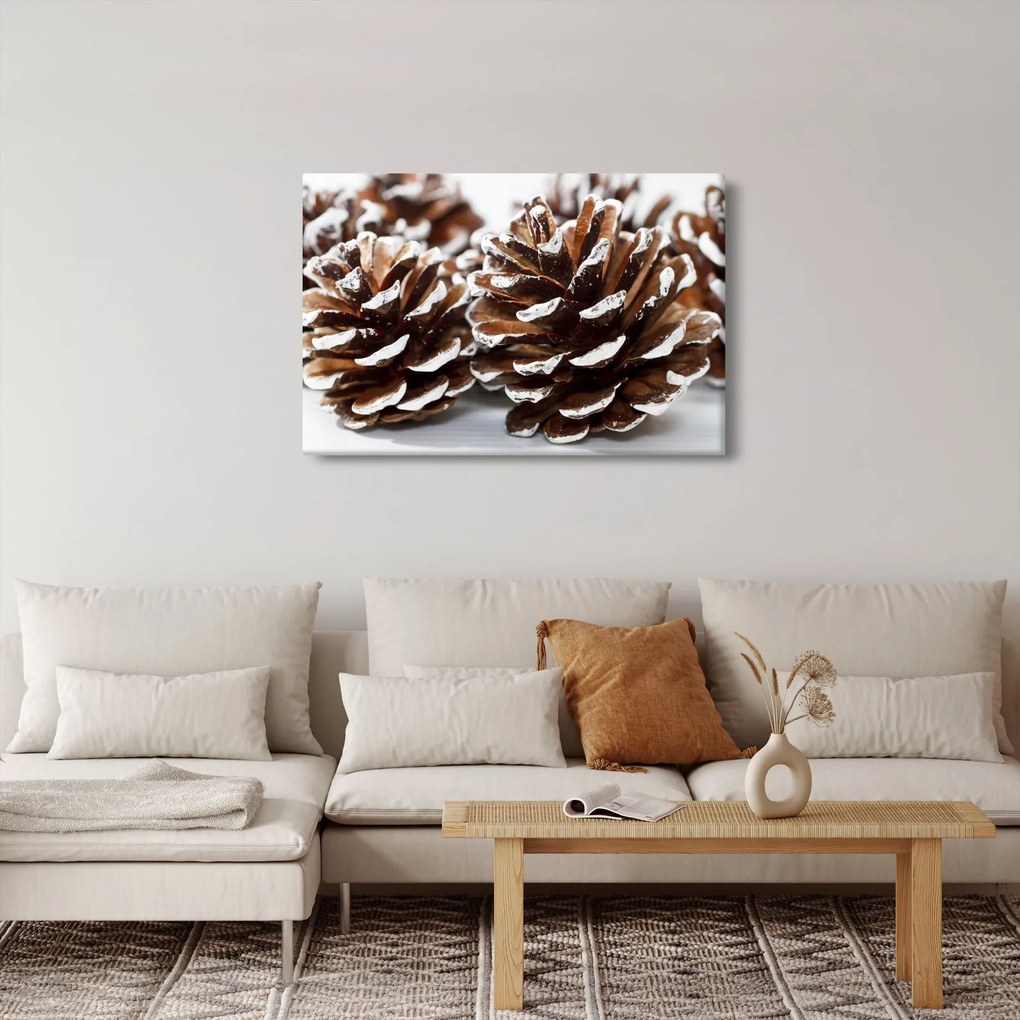 Obraz - Šišky (90x60 cm)