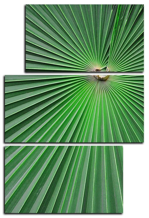Obraz na plátne - Tropické listy - obdĺžnik 7205D (105x70 cm)