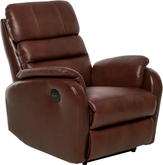 Kožené polohovacie kreslo ELEGANT 2, koňak K 2136 (RE Typ 2)