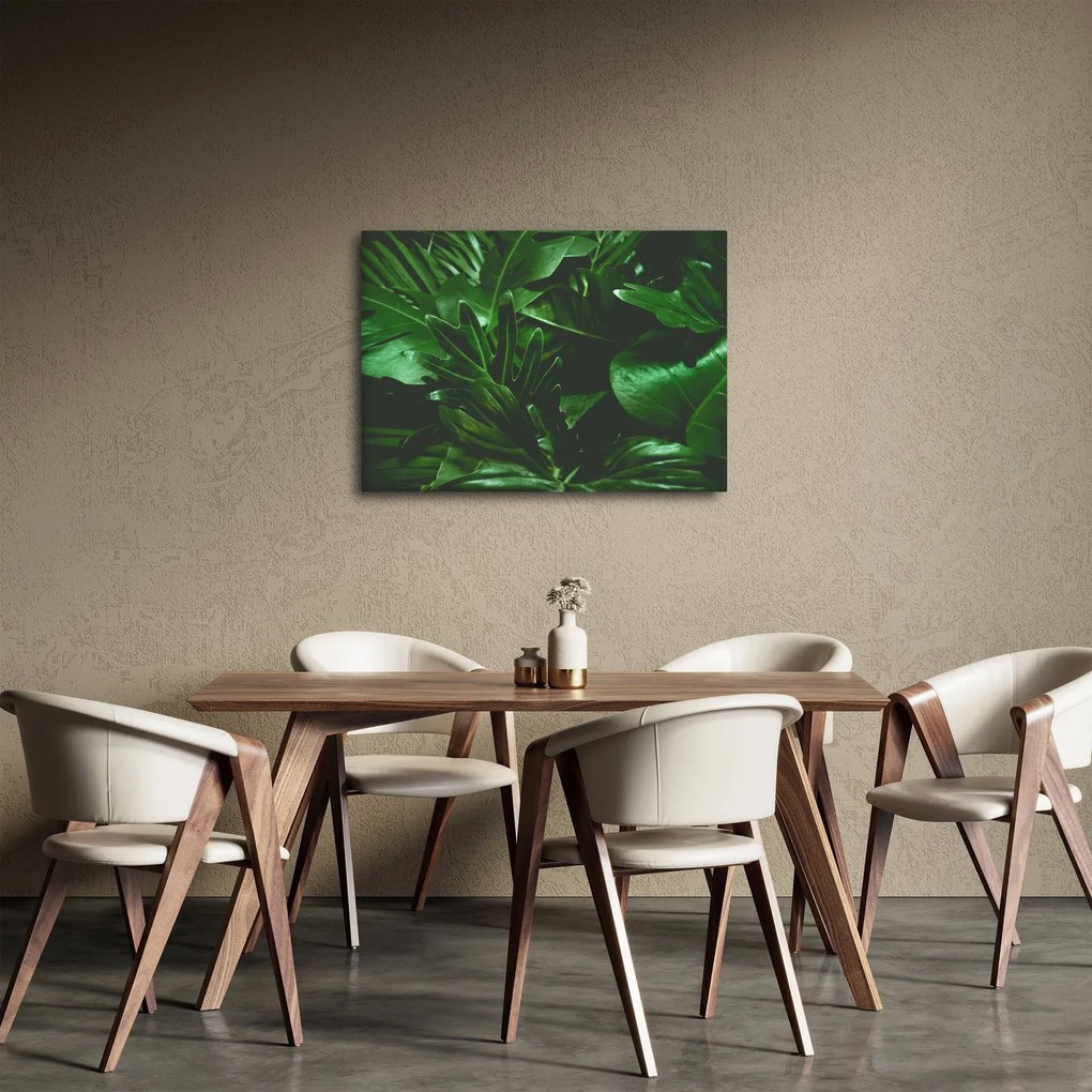 Obraz - Palmové listy (70x50 cm)