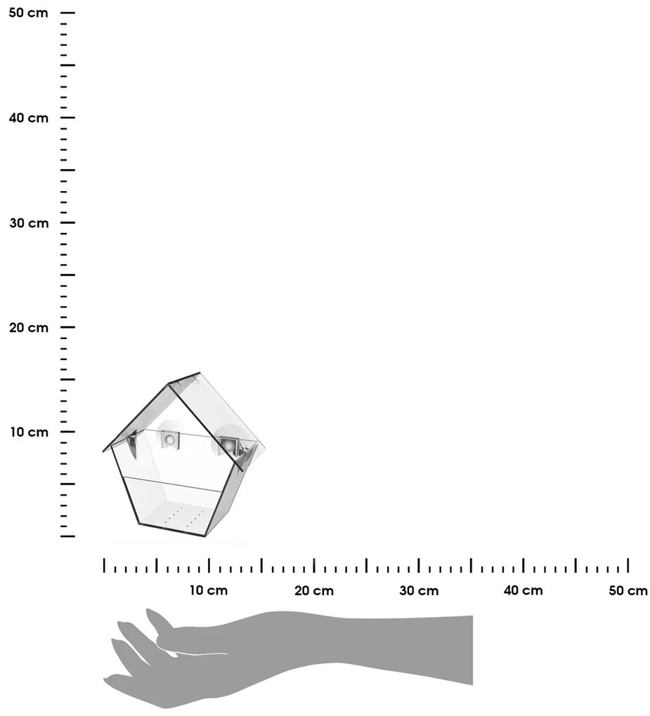 Kŕmidlo pre vtáky s prísavkami Clear, 15x15x9 cm, plast, transparentná