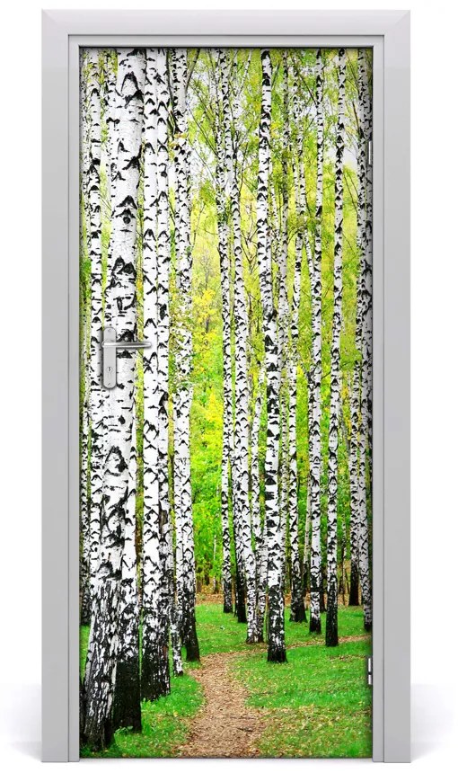 Fototapeta na dvere Břízová les 75x205 cm