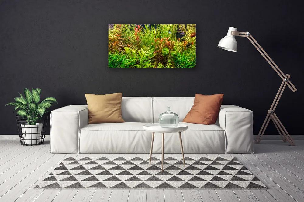 Obraz Canvas Akvárium rybičky rastliny 120x60 cm
