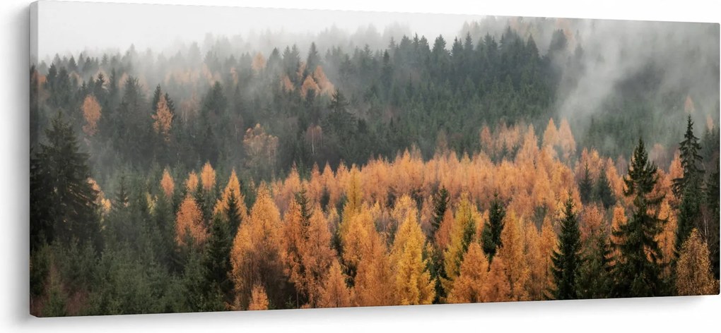 Obraz - Jesenný les (120x50 cm)