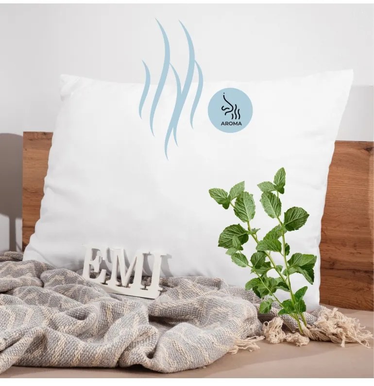 Aromatický vankúš Mint 50x70 cm EMI
