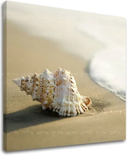 Obraz na stenu PLÁŽ PL006E12