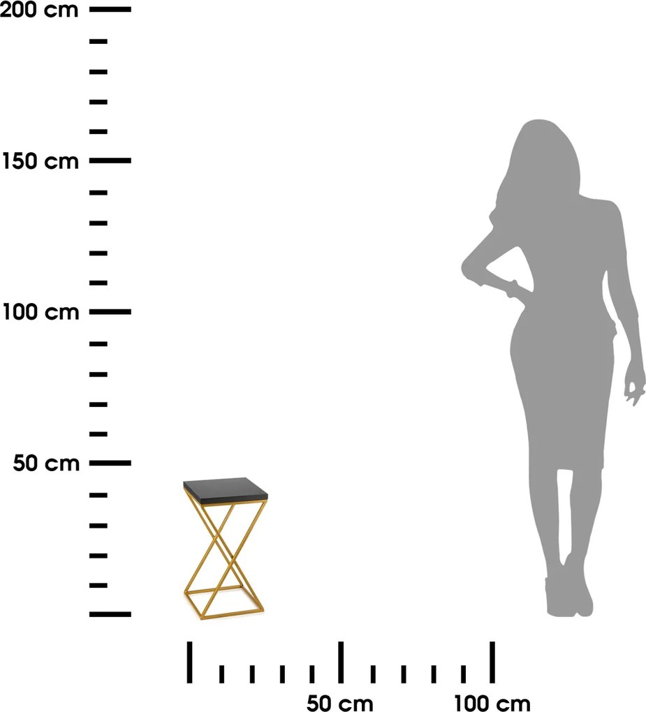 STOJAN NA KVETINÁČ LOFT6 40X24X24 CM ZLATÁ/ČIERNA