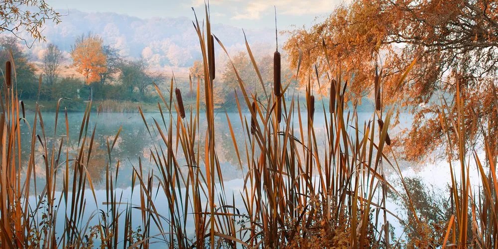 Obraz rieka uprostred jesennej prírody Varianta: 100x50