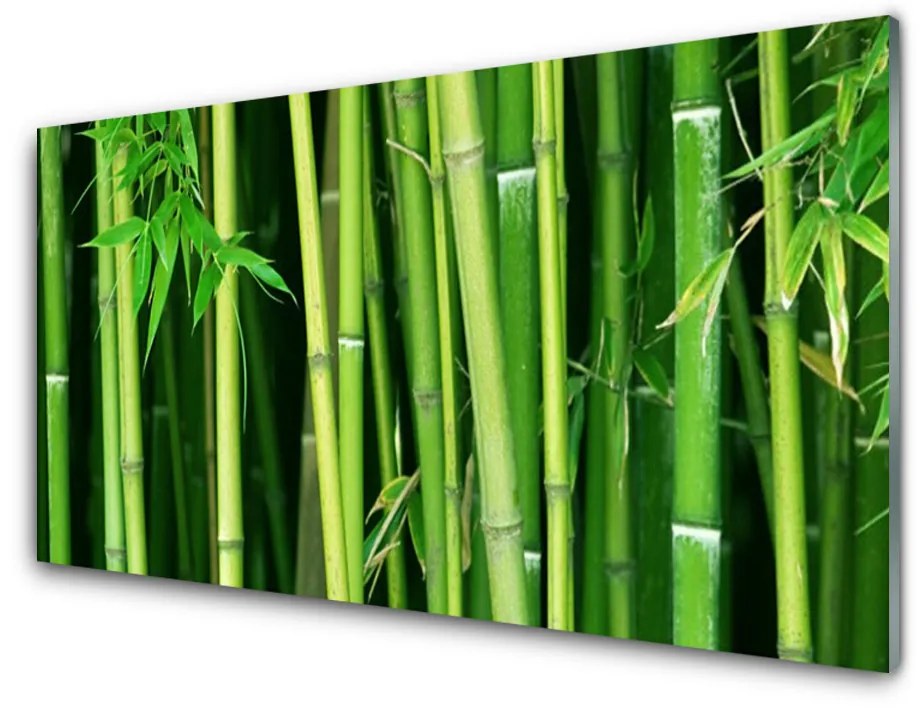 Sklenený obklad Do kuchyne Bambusový les bambus príroda 140x70cm
