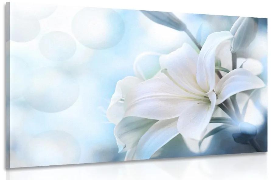 Obraz biely kvet ľalie na abstraktnom pozadí Varianta: 90x60