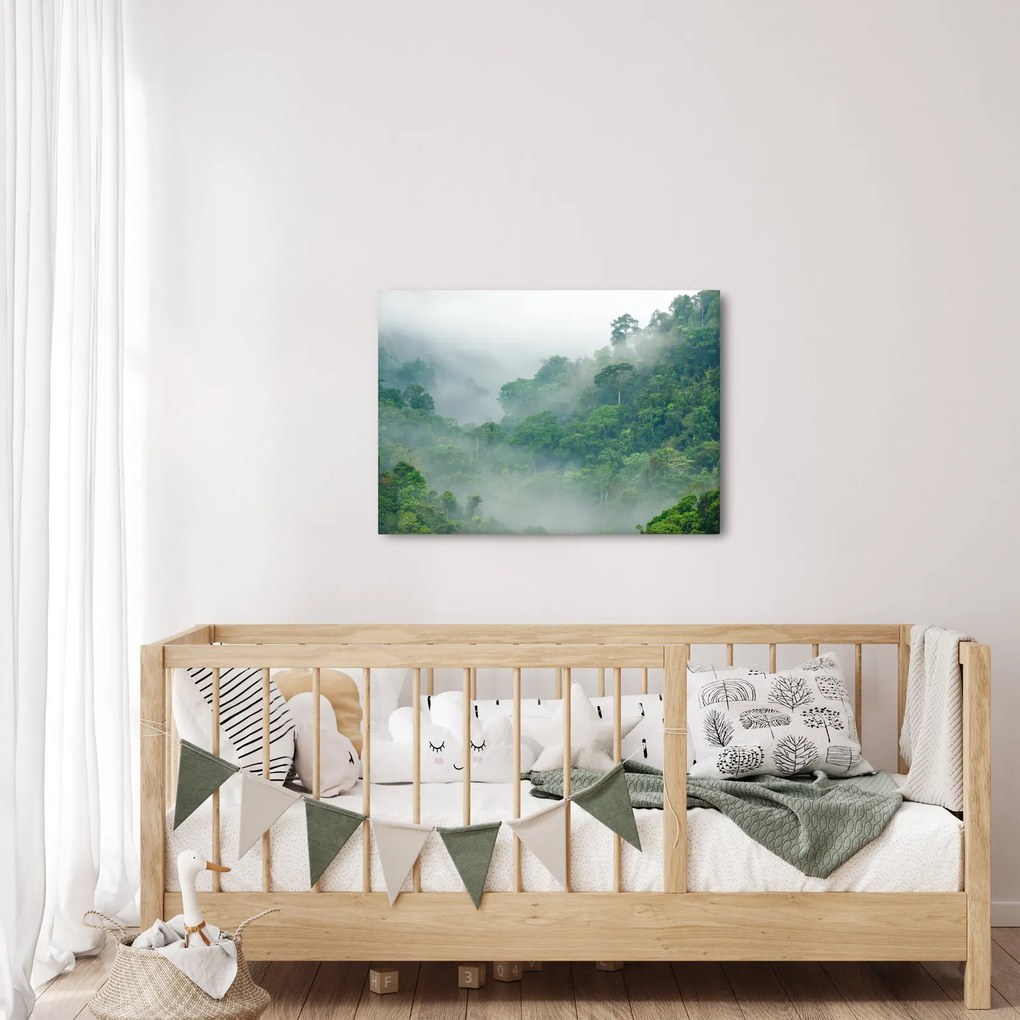 Obraz - Ranná hmla (70x50 cm)