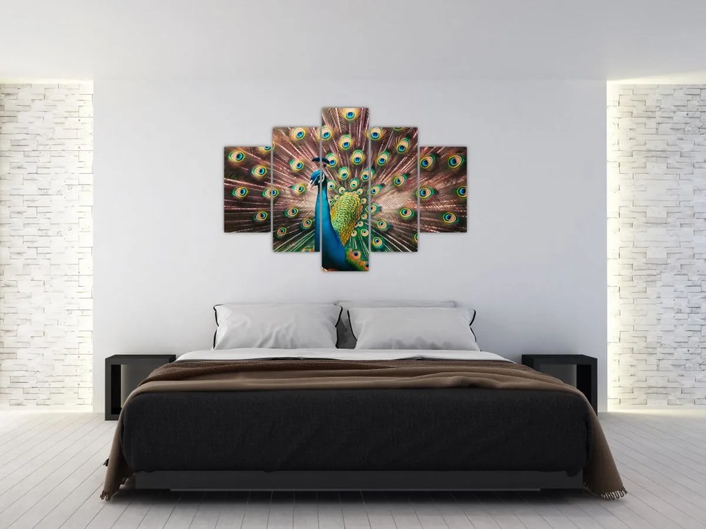 Obraz - Páv (150x105 cm)