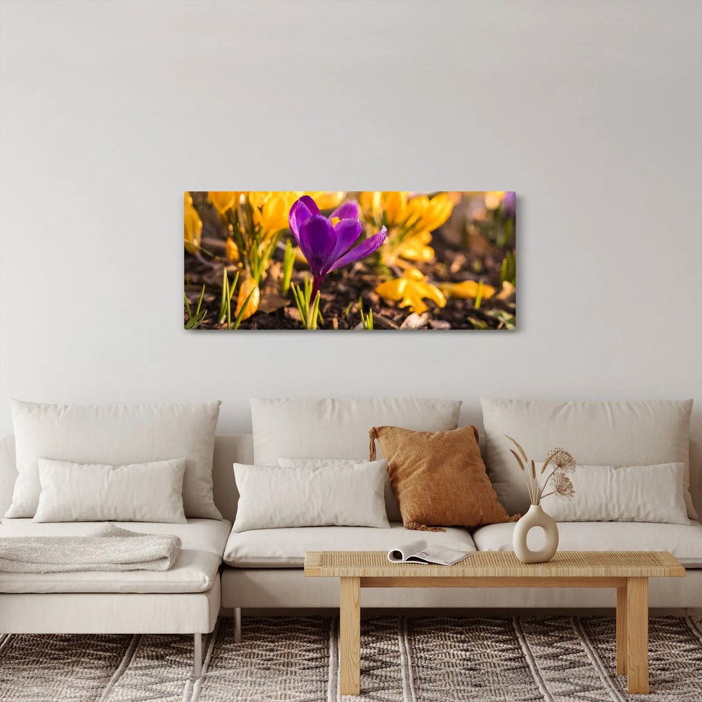 Obraz fialovej kvetiny (120x50 cm)