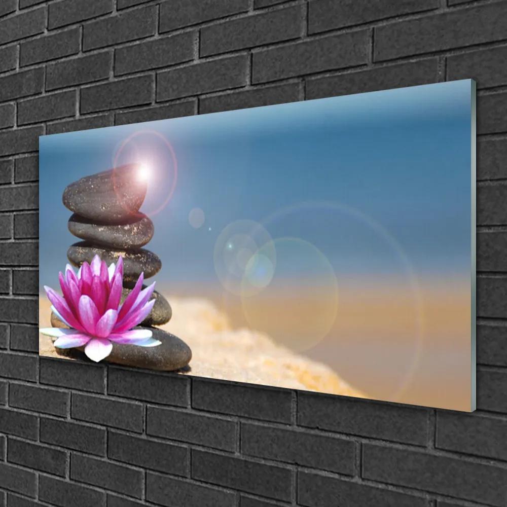 Skleneny obraz Kamene kvet umenie 100x50 cm
