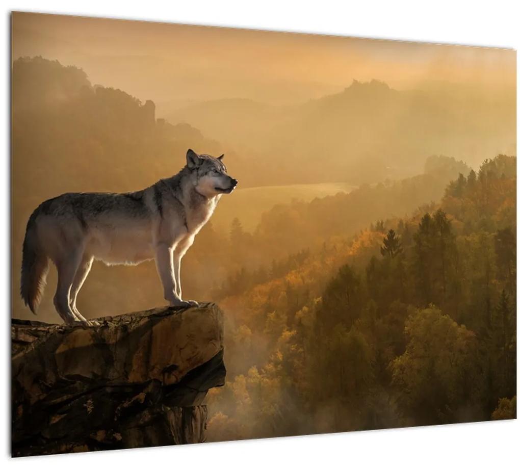 Obraz vlka na skale (70x50 cm)