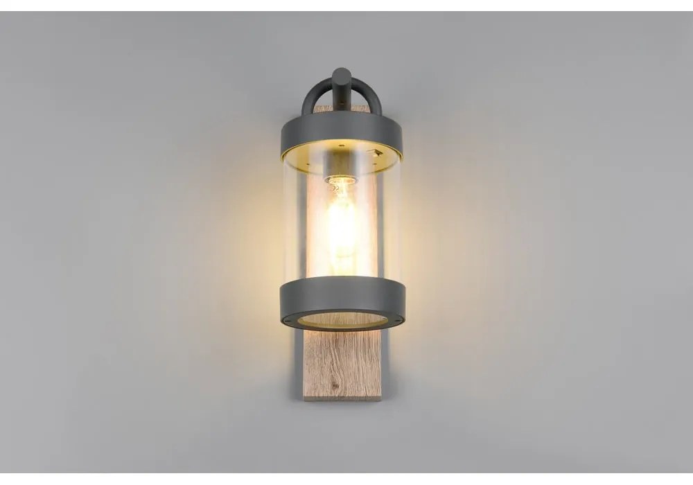 Nástenné vonkajšie svietidlo (výška 33 cm) Sambesi – Trio