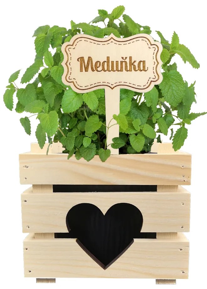 AMADEA Drevený zápich - ceduľka na bylinky Medovka, výška 20 cm, český výrobok
