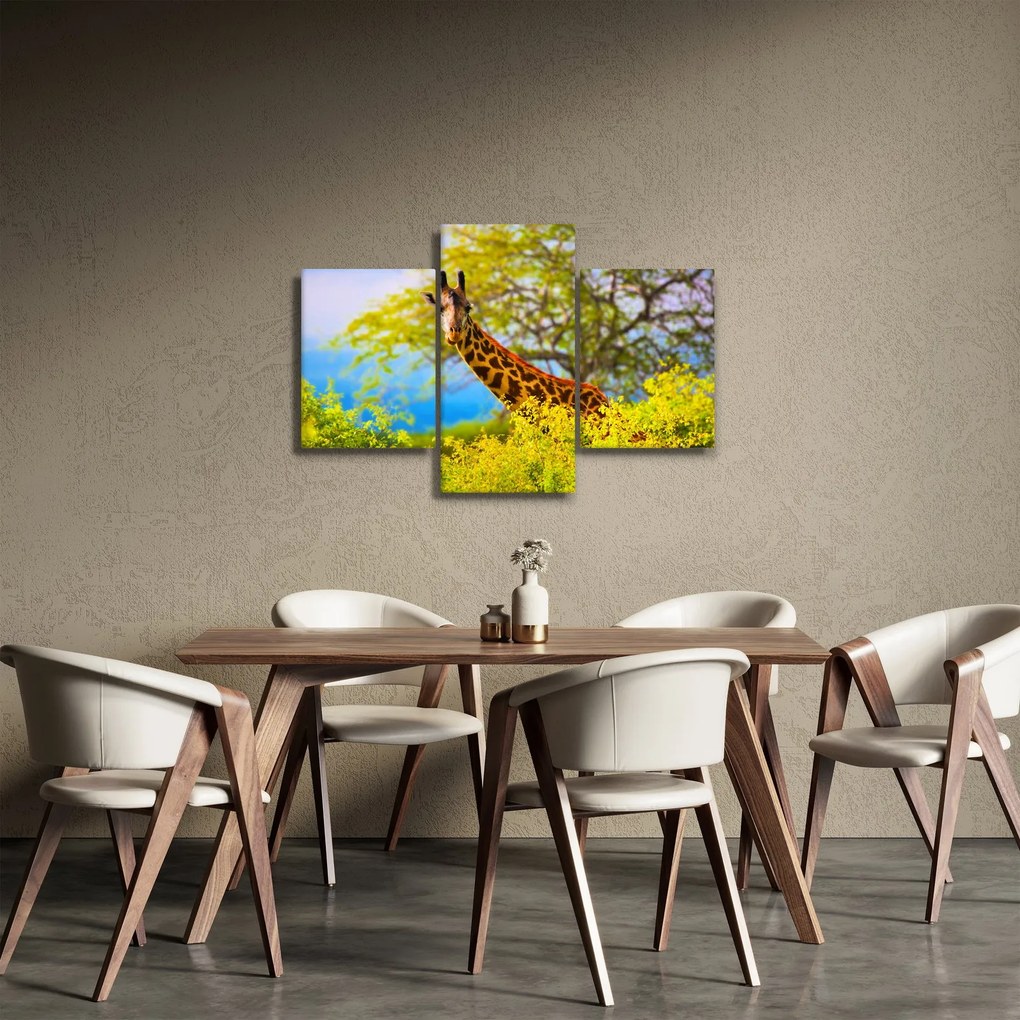Obraz žirafy v Afrike (90x60 cm)