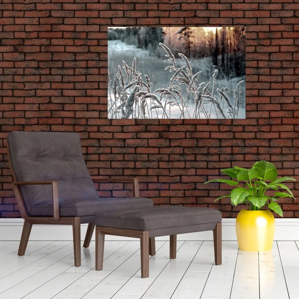 Obraz - Zamrznutá lúka (90x60 cm)