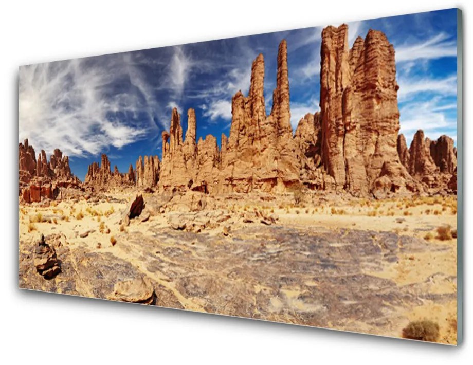 Obraz na skle Púšť krajina 100x50 cm