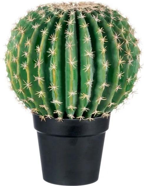 Kaktus v kvetináči large - Ø 36*46cm