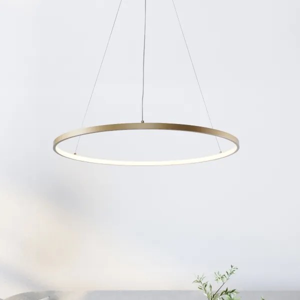 Zuma Line 2023201-GD80 - LED Luster na lanku BRENO LED/36W/230V 3000/4000/6000K