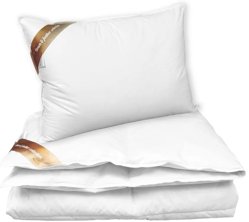 2G Lipov Súprava z peria Down & feather collection - 140x200 / 70x90 cm