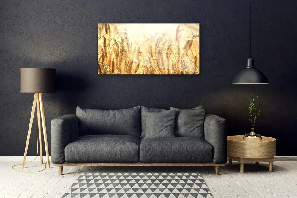 Skleneny obraz Obilie pole klasy príroda 100x50 cm