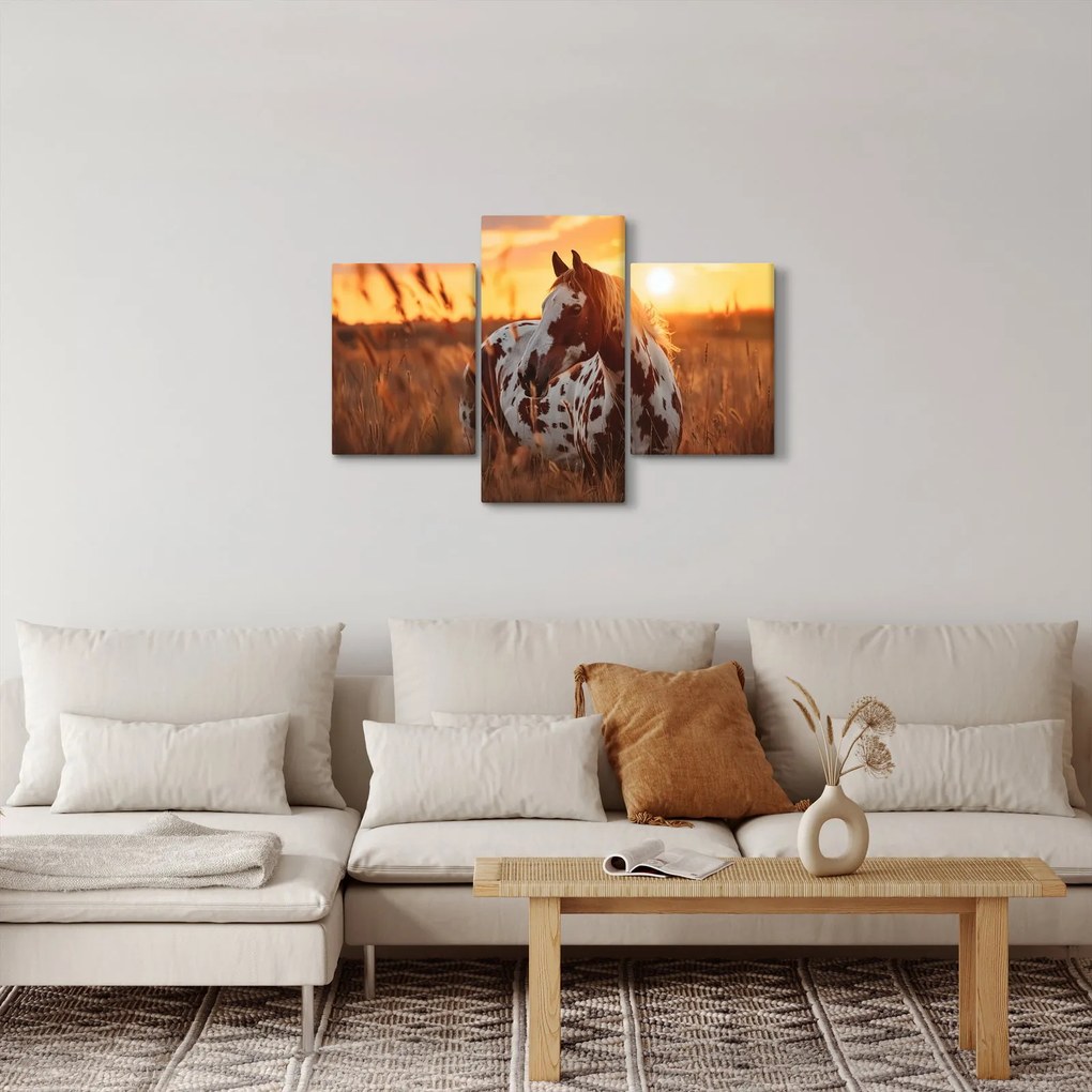 Obraz - Kôň pri západe slnka (90x60 cm)