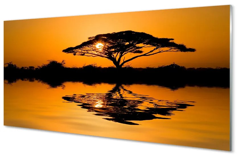 Obraz plexi Sunset tree 100x50 cm 2 Prívesky