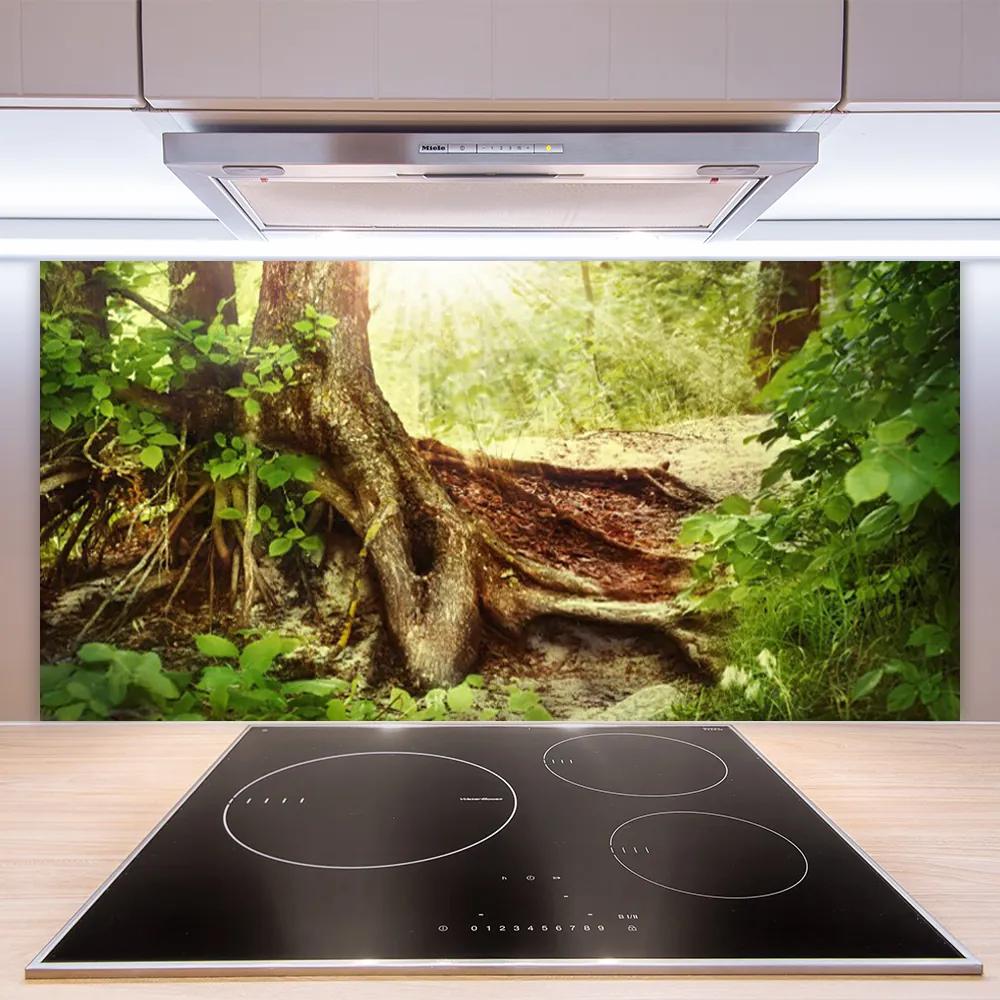 Sklenený obklad Do kuchyne Strom kmeň príroda les 125x50 cm