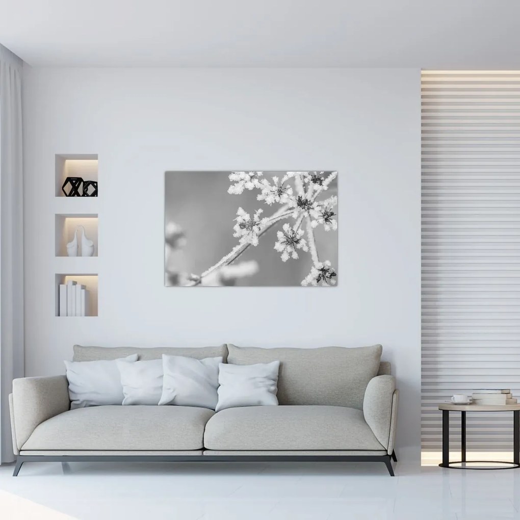 Obraz - Zamrznutá rastlina (90x60 cm)