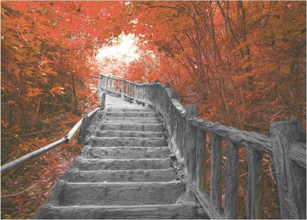 Obraz - Schody v prírode, oranžová (70x50 cm)