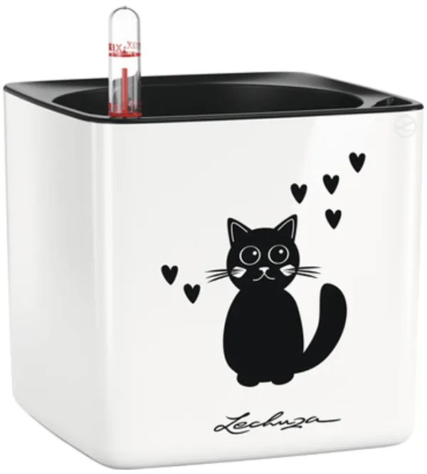 Lechuza Cube Glossy CAT 14 All inclusive set mačka biely kvetináč 14x14x14 cm