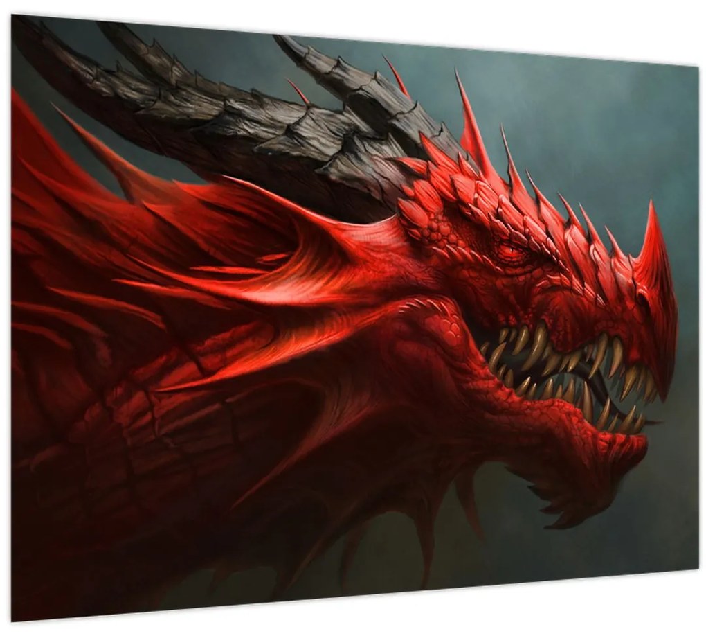 Obraz - Drak (70x50 cm)